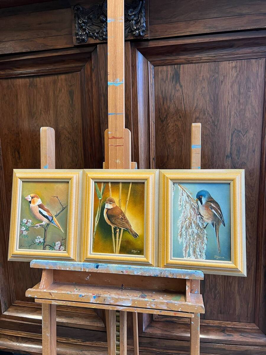 Set van drie gesigneerde vogel schilderijen – S. Vos, 2002